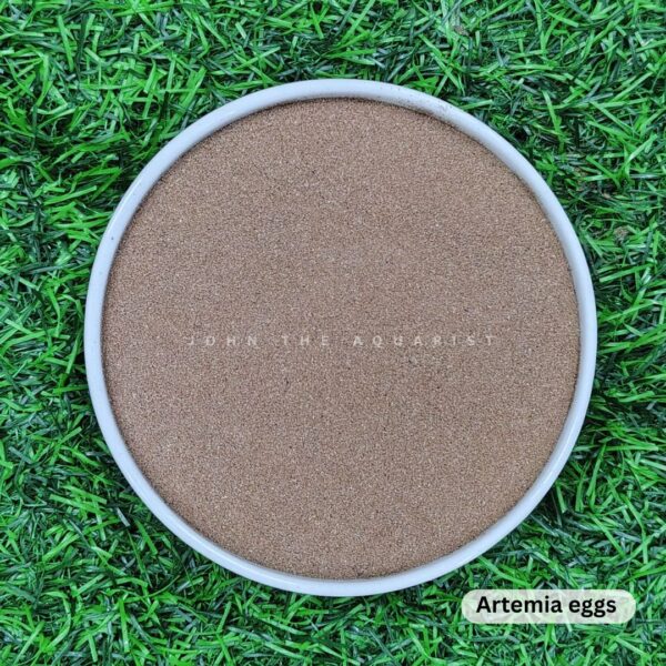 INDIAN ARTEMIA BRINE SHRIMP EGGS - 100 Gms